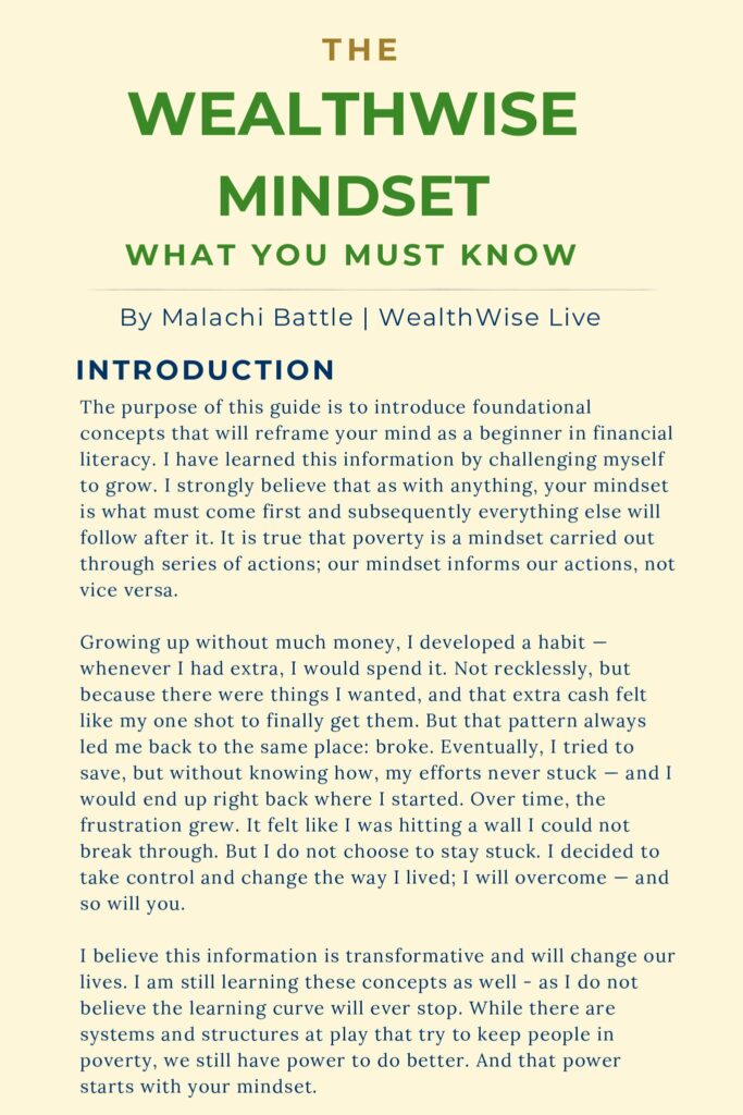 The WealthWise Mindset Guide cover
